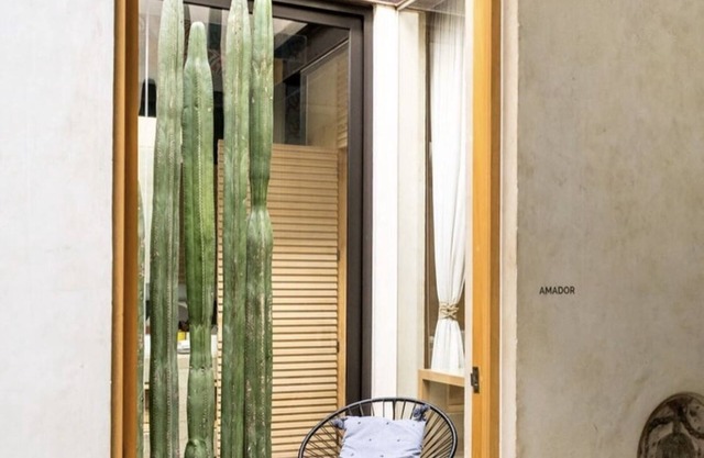 Casa Carmen Reforma