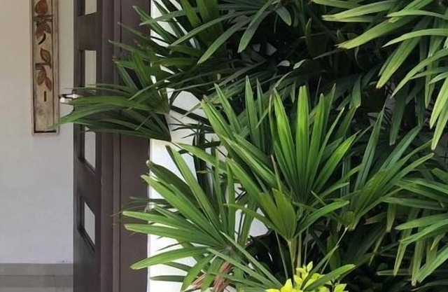 Casa Cascadas, Cuernavaca, Seguridad 24 Hrs. Alberca Climatizada