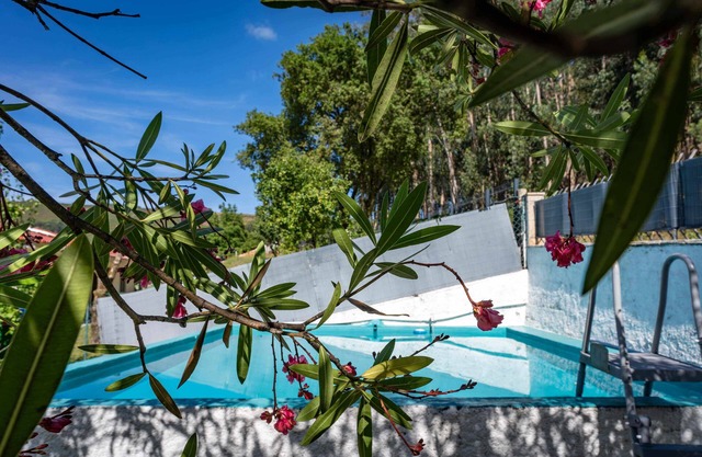 Casa Das Fontes Ponte de Lima - Jaccuzzi and Pool