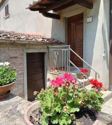 Casa dell Ulivo