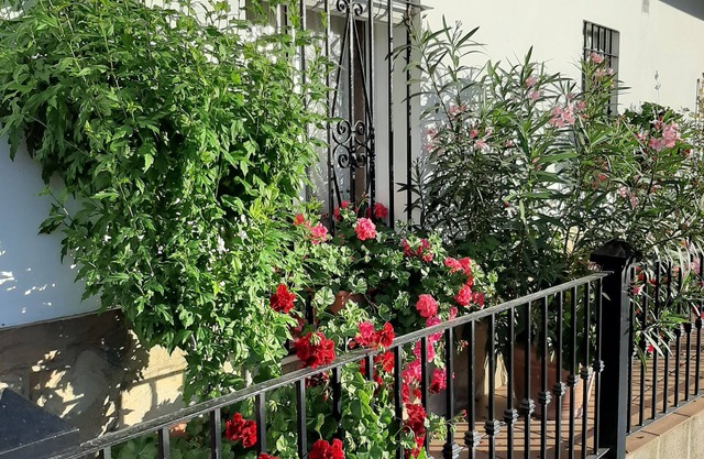 Casa Fefi.Cosy Home 3 Bedroom Spectacular Balcony views