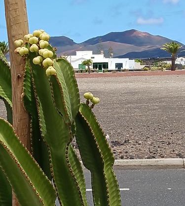 Casa Los Volcanes