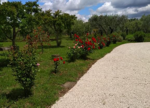 Casa Vacanze Le Rose