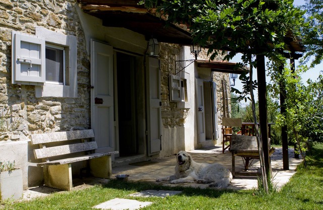 Casa Verde