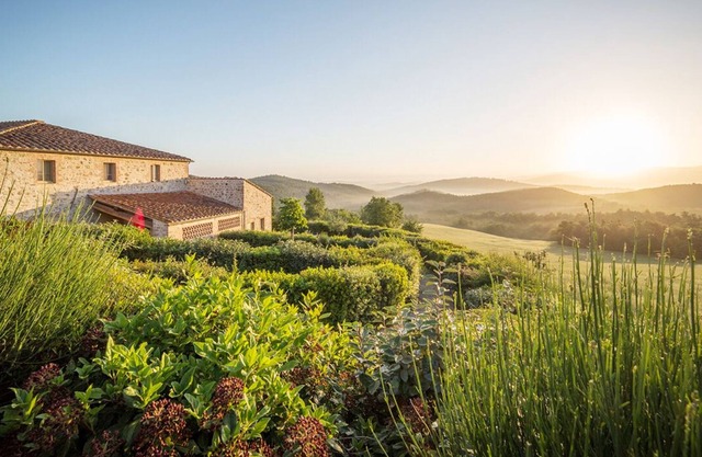 Casa Vigneto, Casole d’Elsa