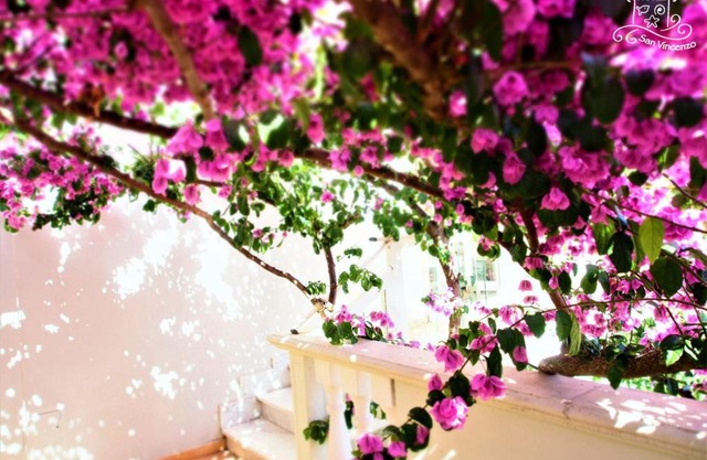 Casamare Hotel