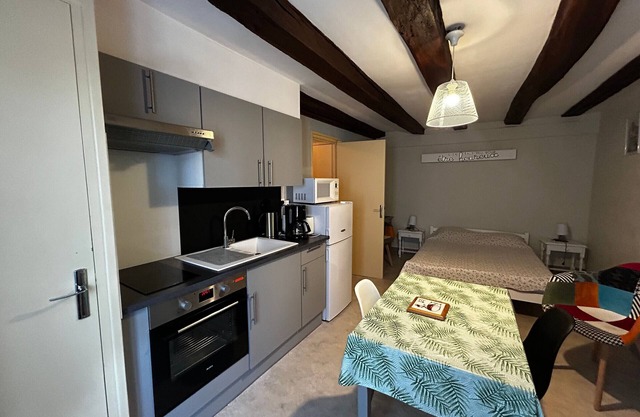 Central La Roche-Posay studio, Wifi, free parking