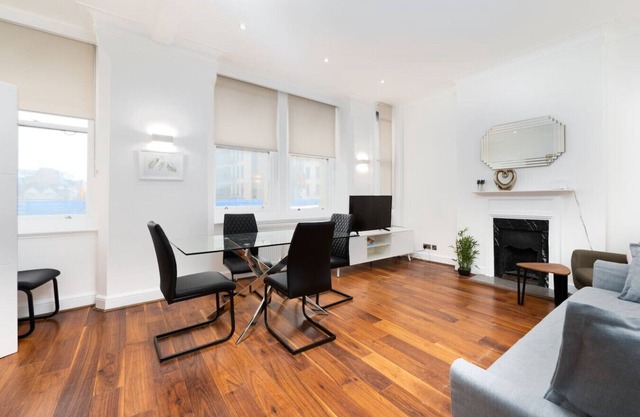 Central London Flat (FS1)