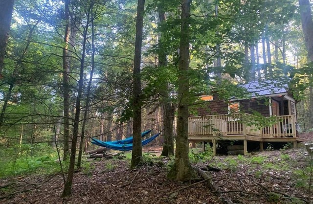 Chanterelle Tiny House