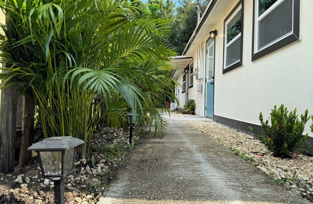 Charming 1-bedroom house in Safety Harbor with Private Fenced Backyard
