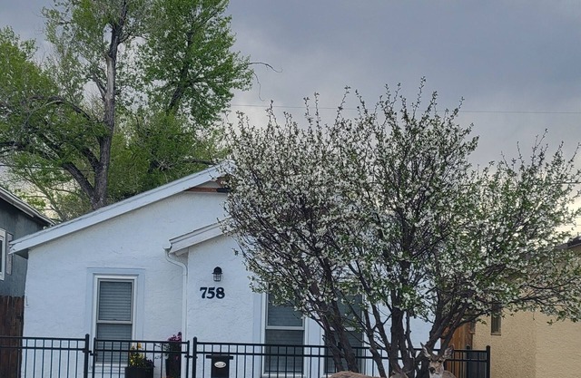 Charming 1-bedroom house in lovely Laramie with AC