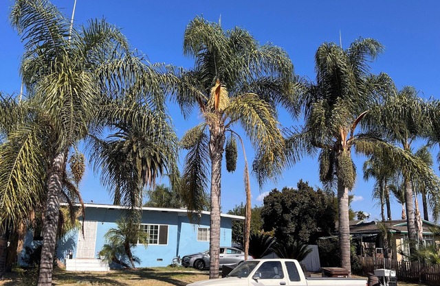 Charming 2-bedroom house in delightful La Puente with WiFi, fitness equipment
