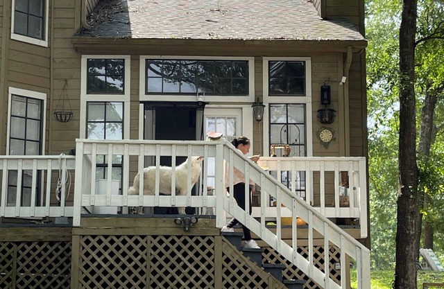 Charming 3-bedroom country house in wonderful Huntsville with AC.