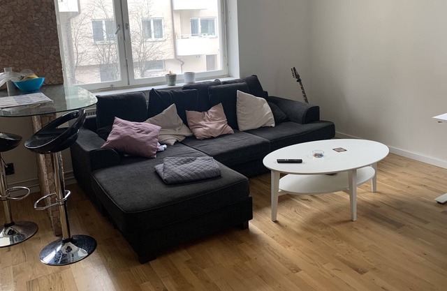 Charming Apartmemt in Stockholm City