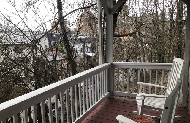 Charming Cottage Overlooking Downtown AVL