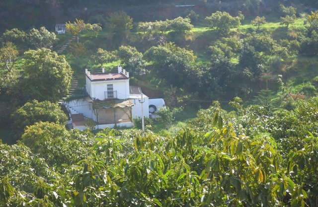 Charming country house with private garden