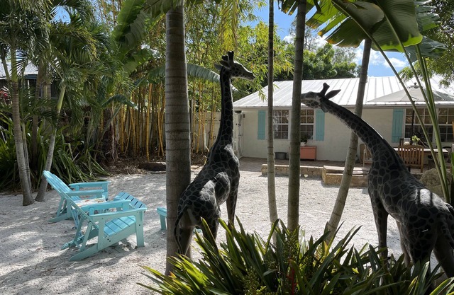 Charming dog-friendly, private tropical back yard. 3 bed - 2 bath, Great value!