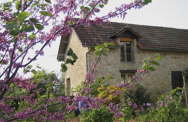 charming farm house in the heart of black Périgord, 3km from Sarlat