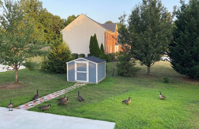 Charming house in fabulous Woodbridge with AC, WiFi