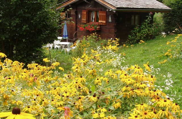 Charming little chalet with magnificent view of the Mont-Blanc range