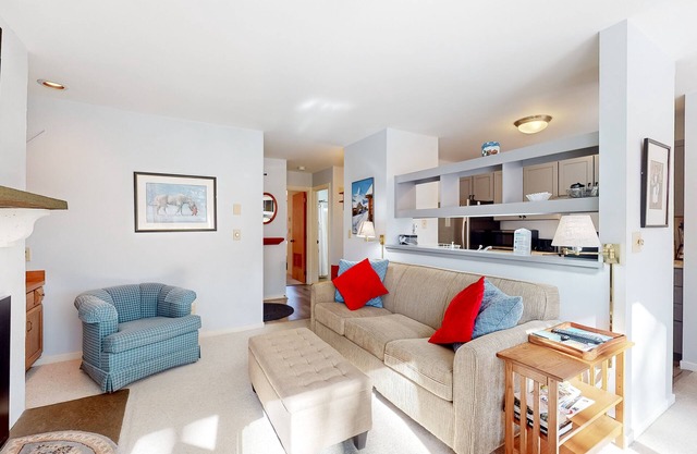 Charming mountainside condo with fireplace, skiing, balcony, & washer/dryer
