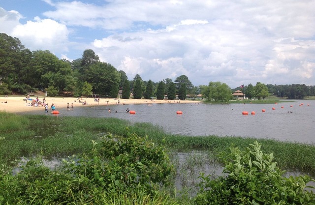 Charming Studio at Lake Acworth, 6 miles to LakePoint Sports/Perfect Game Fields