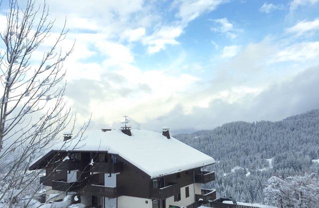 Charming studio facing Mont Blanc