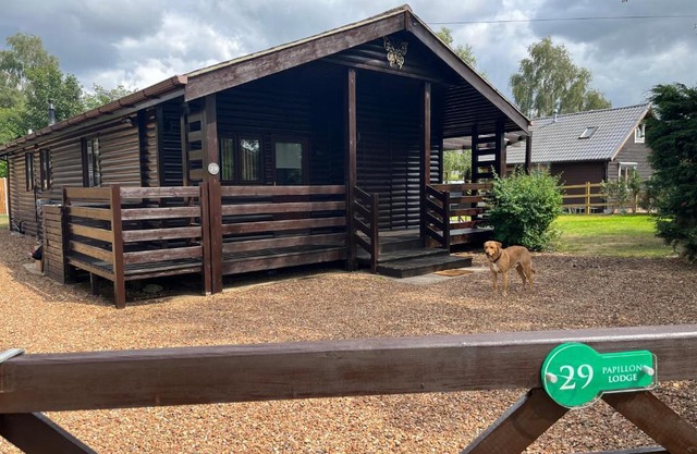 Cheerful 3-bedroom cabin with hot tub