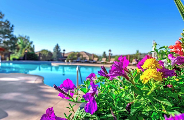Cheyenne Mountain Resort, a Destination by Hyatt Hotels