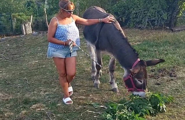 CHEZ NIKI, your cosy gîte in the heart of the Margeride!