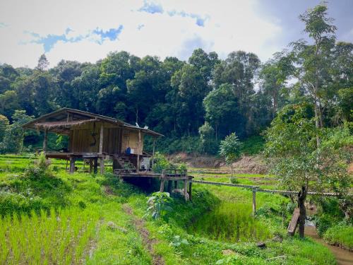 Chibacall ชิบะคอล, Chiang Mai Hideaway Homestay