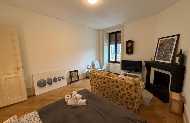 “Chopper” Lovely Apartment in Geneva Downtown!