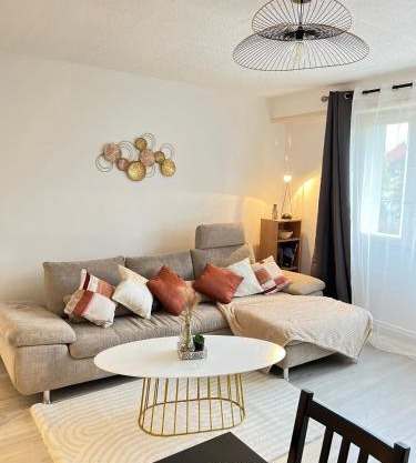 CICONIA : CENTRE-VILLE MULHOUSE, PARC NOUVEAUX BASSINS A PROXIMITE