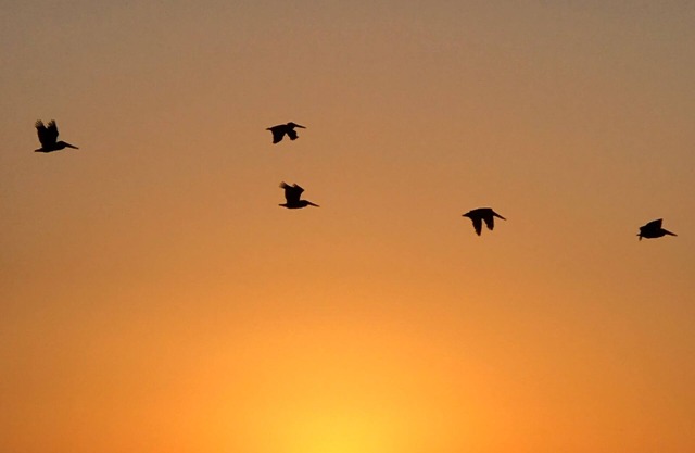 Close To Naples Beach! Pets Welcome. Bikes Available. Hot Tub. Summer Specials!