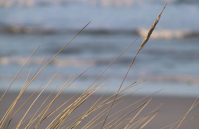 close to the beach and family friendly