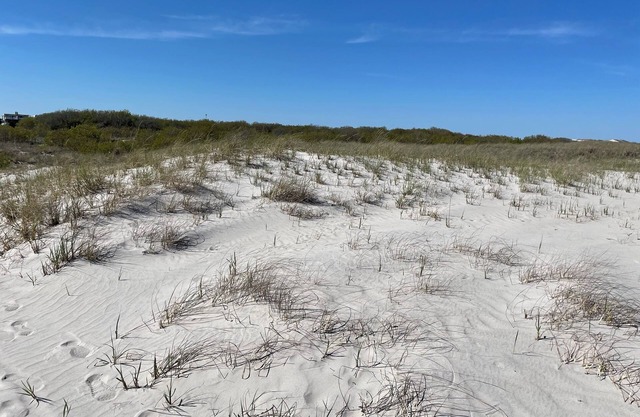 Coastal Charm Meets Cozy Comfort - 1BR Beachside Beauty!