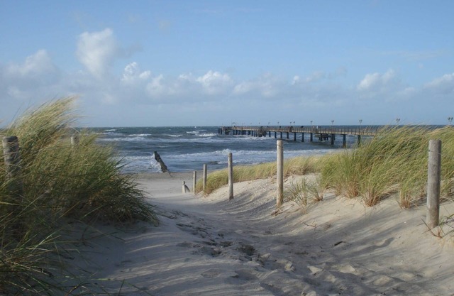 Coastal Forest - Holiday flat Igel 32