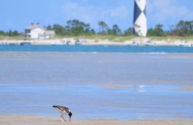 Coastal SeaClusion Vacation Rental is located in Down East, Carteret County, NC