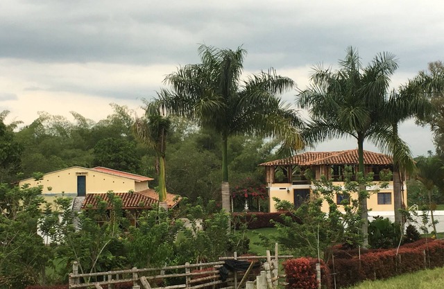 Coffee Farm