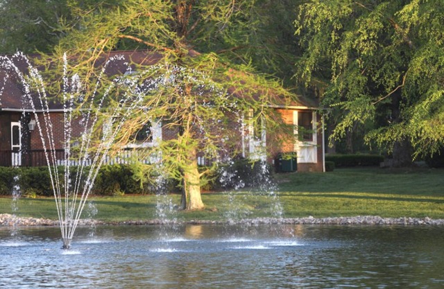 Come Enjoy Thanksgiving in This Beautiful Home!
