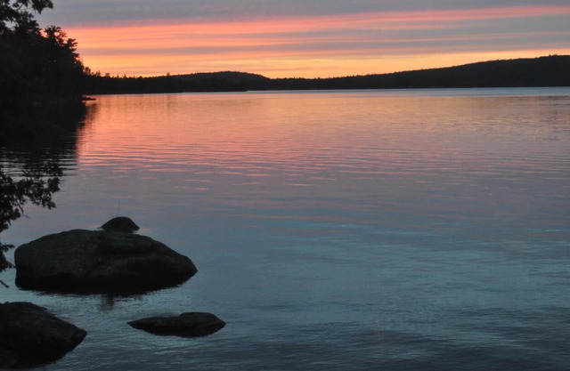 Come experience Molasses Pond!