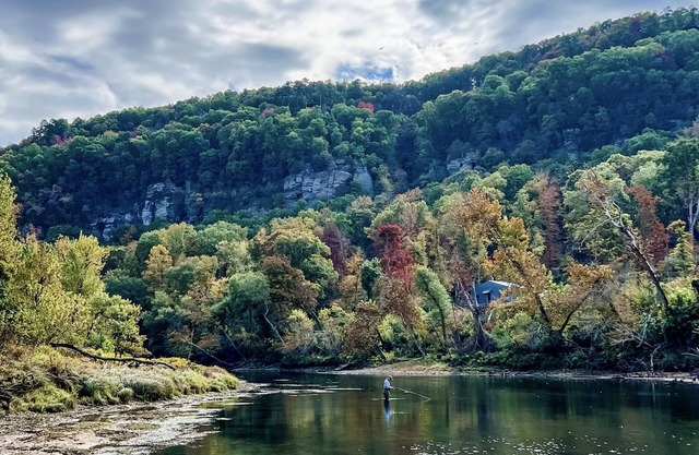COME TRY US OUT! GREAT FISHING! BEST RIVER VIEW ON THE LITTLE RED RIVER!