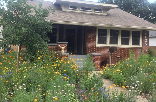 Comfortable basement apt. Great location. Private parking. Heart of Broad Ripple
