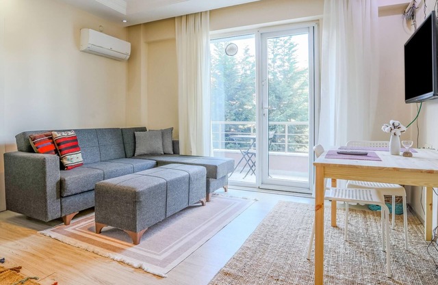 Comfortable Flat with Central Location in Sapanca