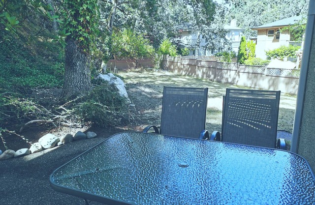 Comfortable ground level suite with large yard access.
