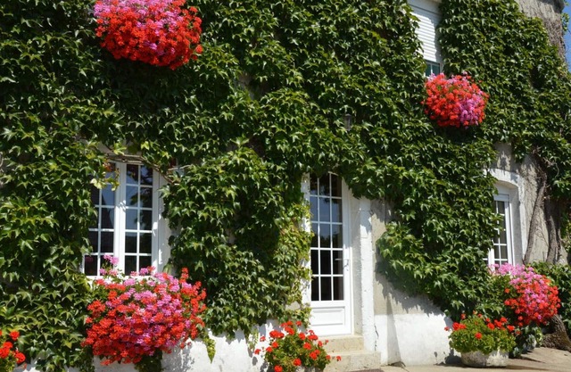 Comfortable semi-detached house with garden and pets allowed near the beach