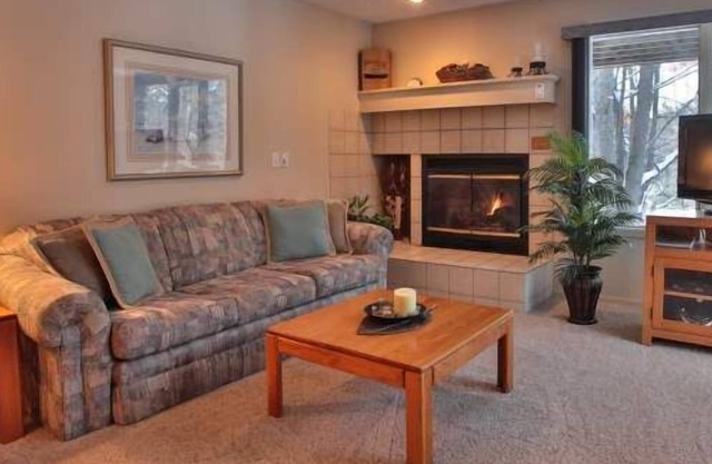Comfy 2 Bedroom, 2 Bath Condo #110 @ Trout Creek, Kitchen, Fireplace-By Heated Pools, Hiking Trails.