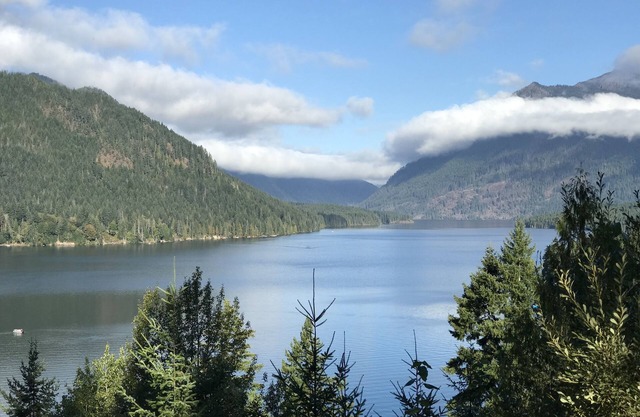 Comfy cabin at lake Cushman Near Olympic National Park & Forest