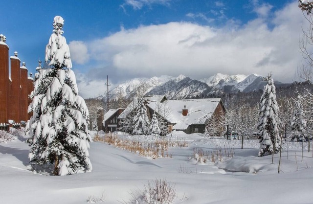 Comfy Cozy Condo 1 mile from Purgatory Ski Resort