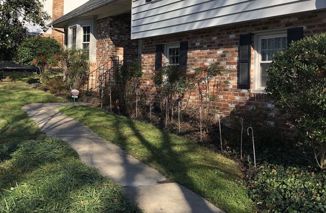 Comfy Richmond Virginia home